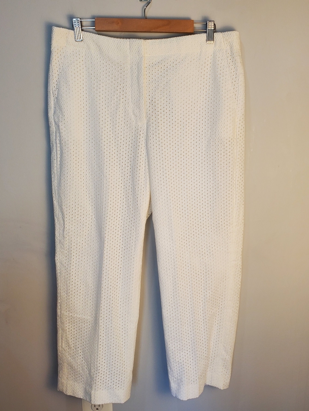 J.Crew F3374 white cotton eyelet circle crop pants 12T lined NWT